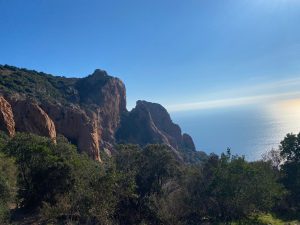 IMG_0528